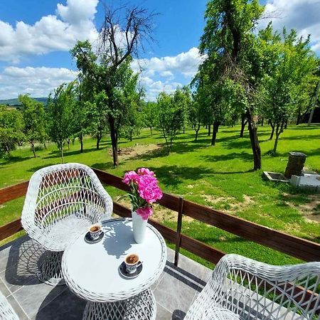 Vikendica Gaj Villa Gornji Milanovac Exterior foto