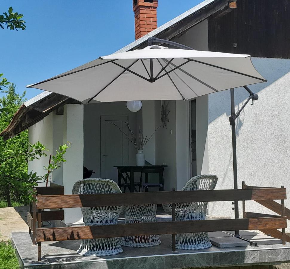 Vikendica Gaj Villa Gornji Milanovac Exterior foto