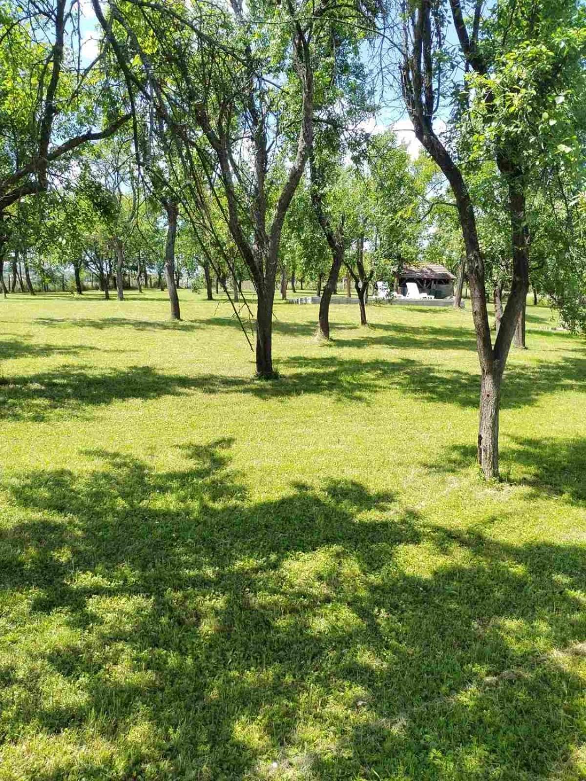 Vikendica Gaj Villa Gornji Milanovac Exterior foto